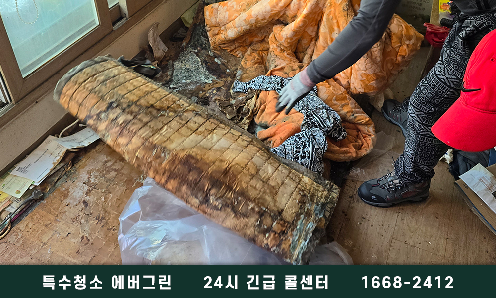 인천 강화군 고독사청소