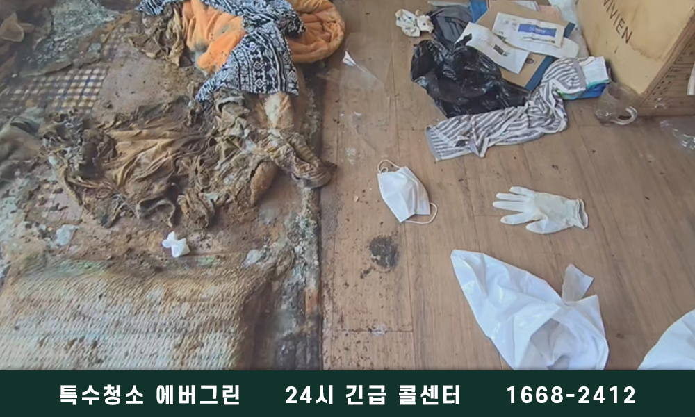 인천 강화군 고독사청소