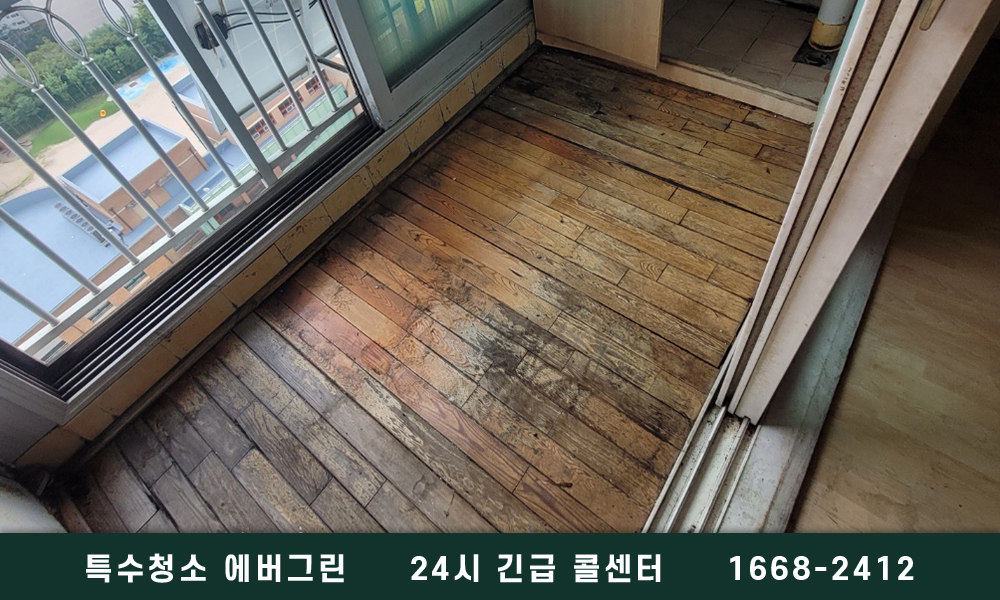 인천 연수구 고독사청소