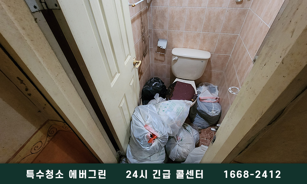 잠실 쓰레기집청소