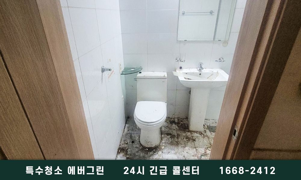 고양 덕양구 쓰레기집청소