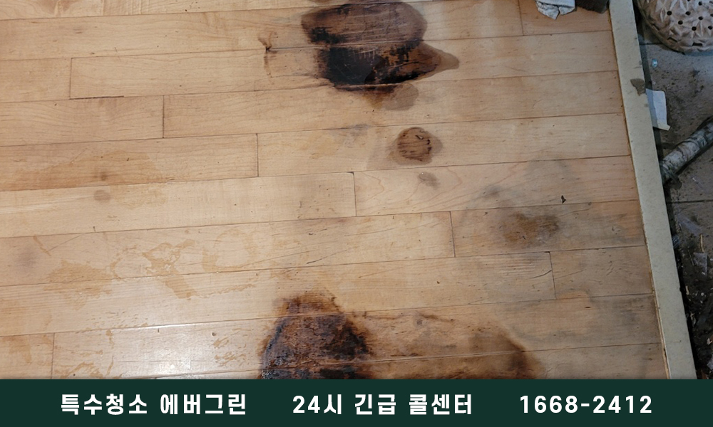 광명 철산동 쓰레기집청소