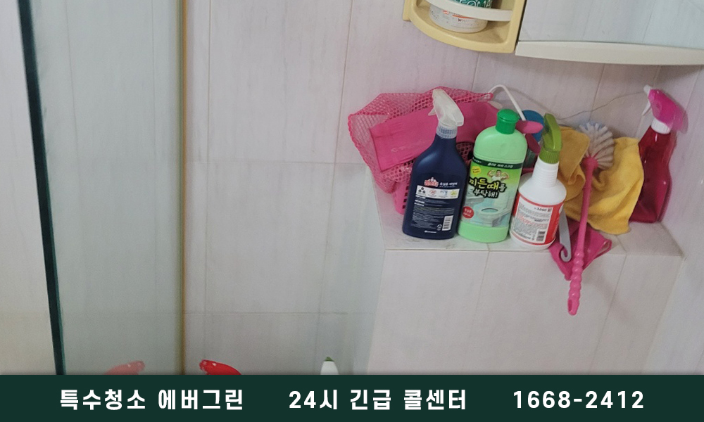 김포 구래동 쓰레기집청소