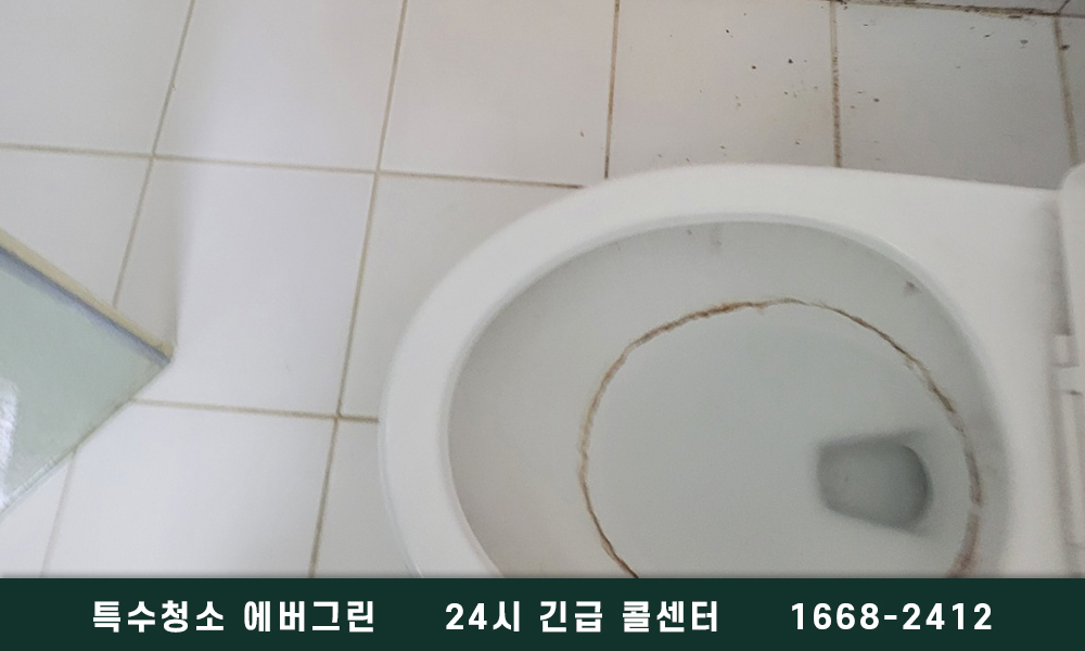 김포 구래동 쓰레기집청소