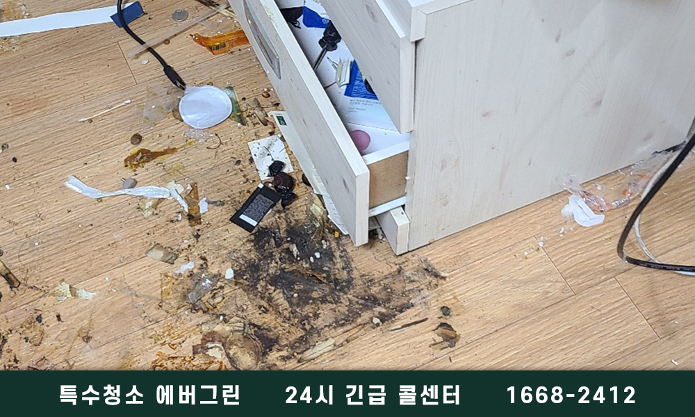 밀양시 쓰레기집청소