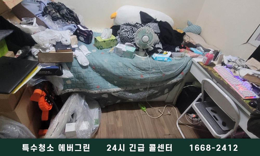 보령 쓰레기집청소