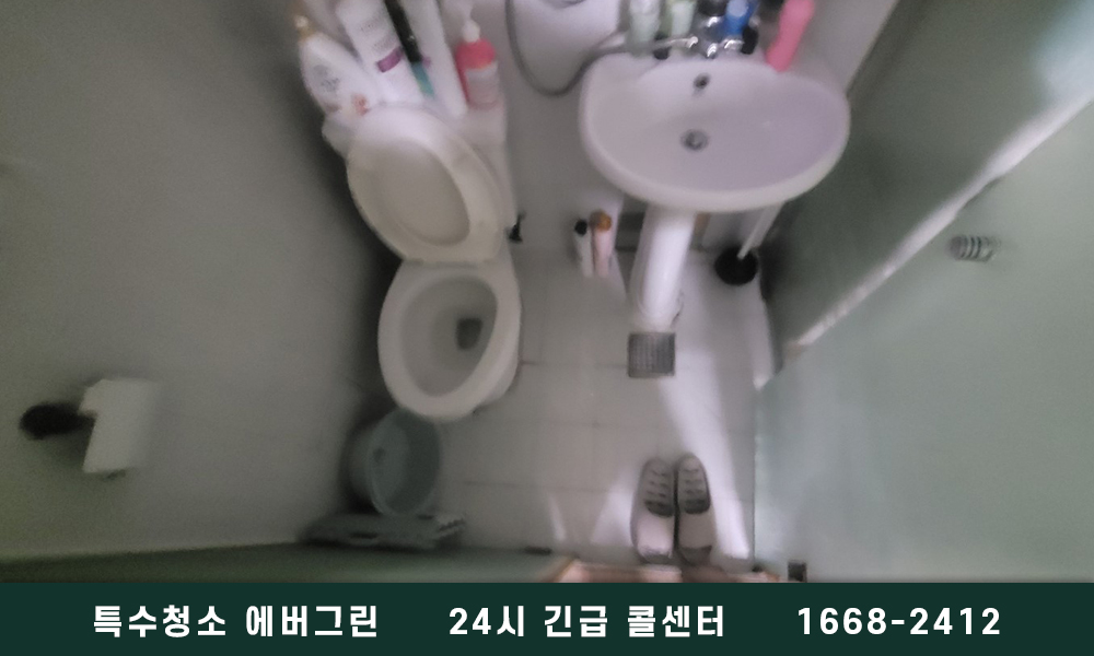 보령 쓰레기집청소