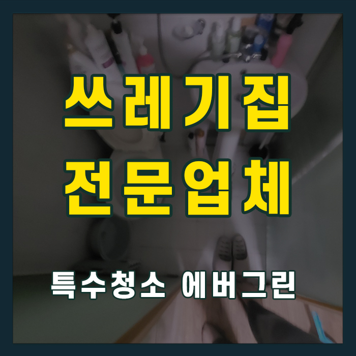 보령 쓰레기집청소
