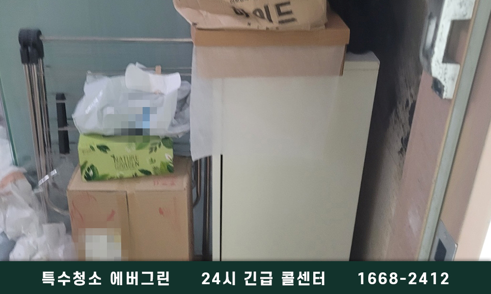 보령 쓰레기집청소