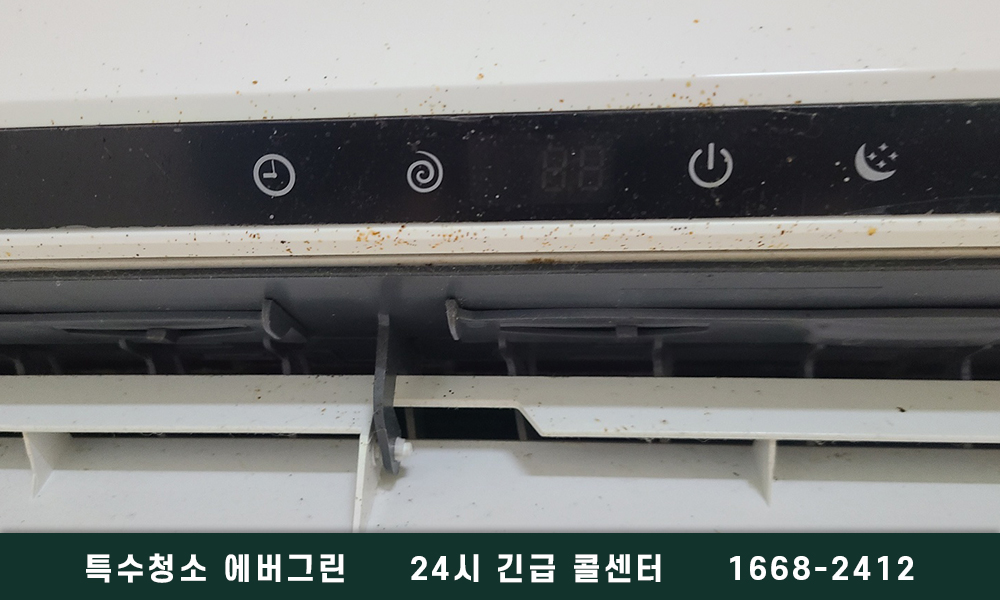 부산 금정구 쓰레기집청소