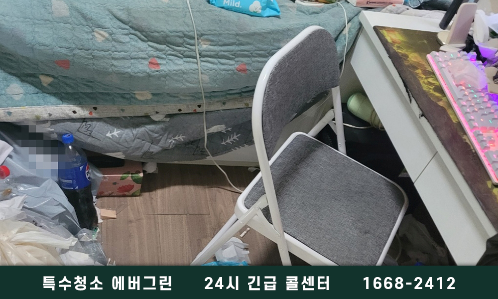 서산 쓰레기집청소