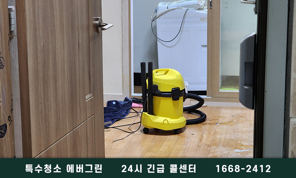 서울 송파구 쓰레기집청소