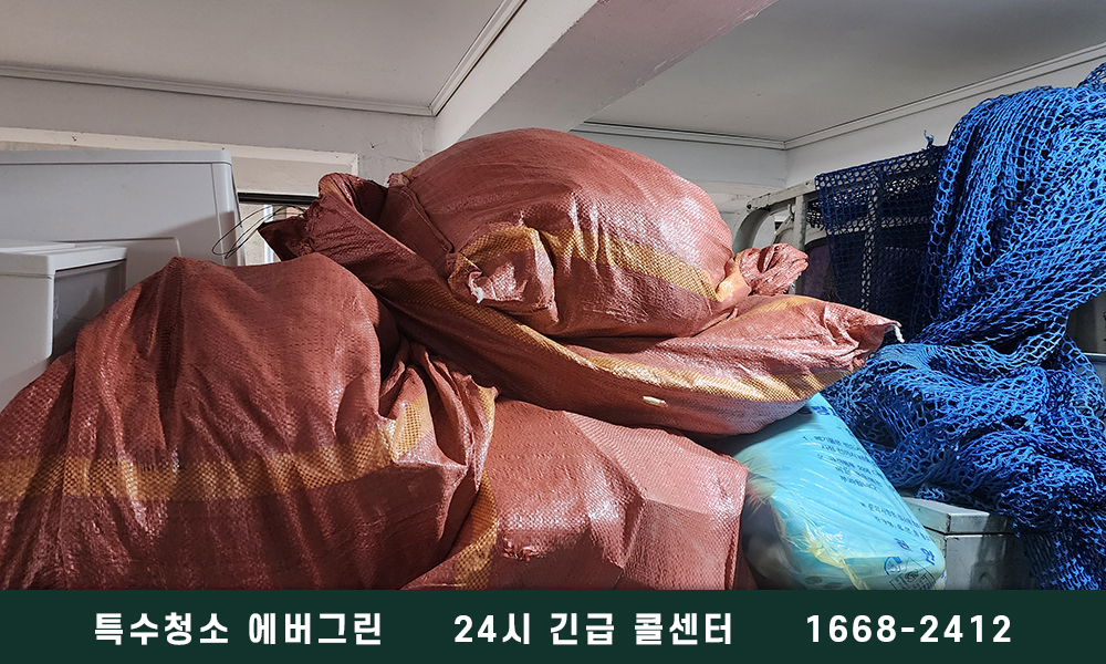 서울 송파구 쓰레기집청소