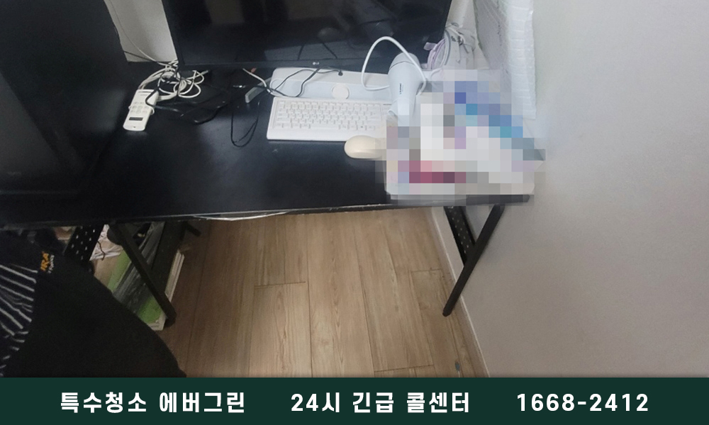 서울 영등포구 쓰레기집청소