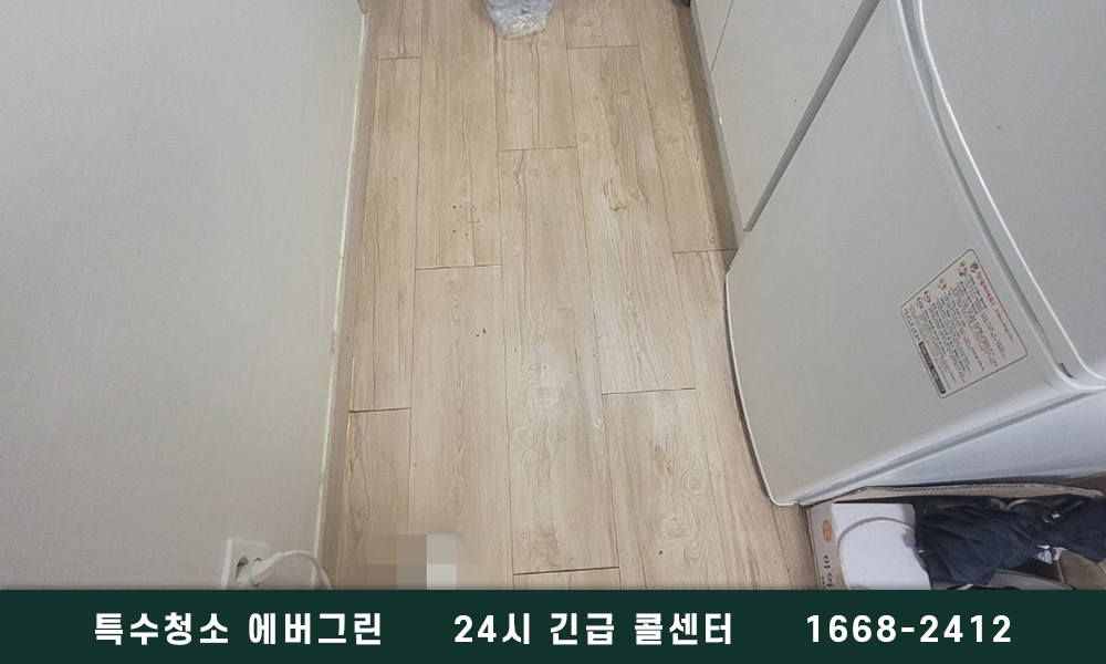 서울 영등포구 쓰레기집청소