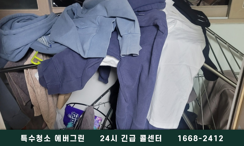 성남 분당구 쓰레기집청소 