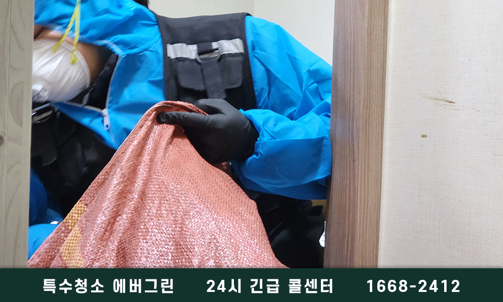 성남 분당구 쓰레기집청소 