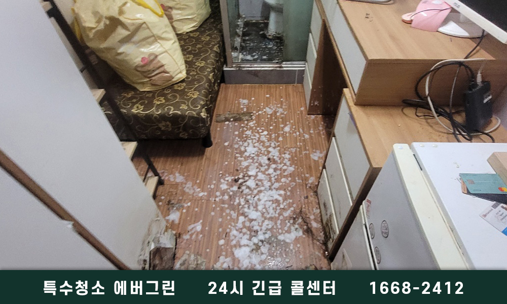 수원 장안구 쓰레기집청소