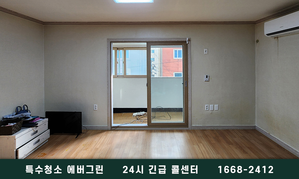 여주 쓰레기집청소