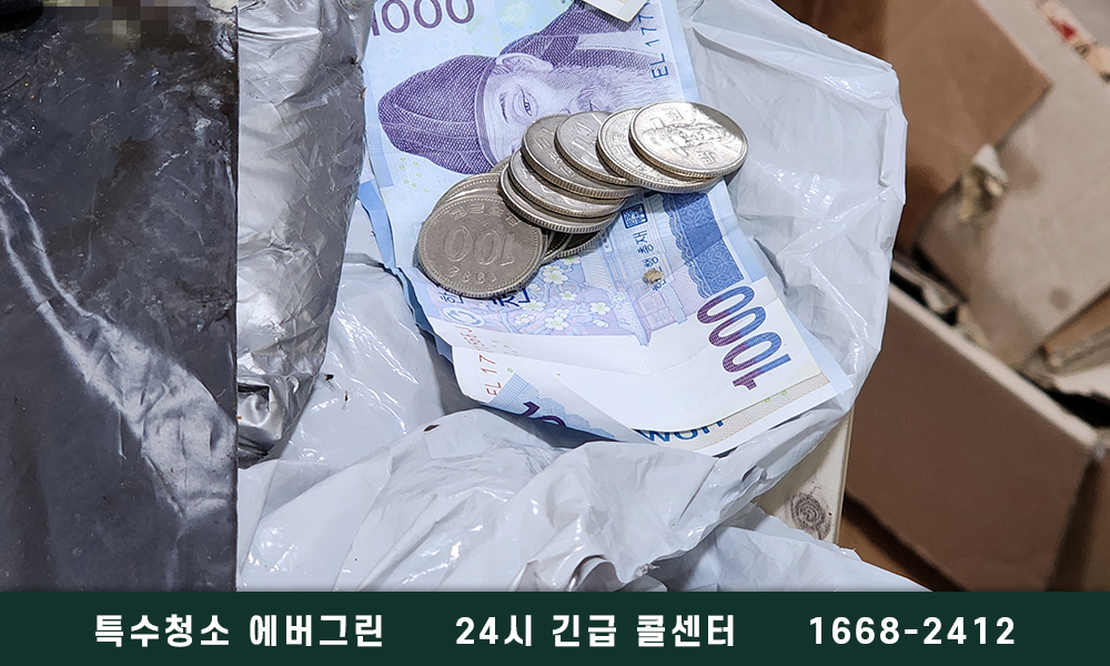 여주 쓰레기집청소