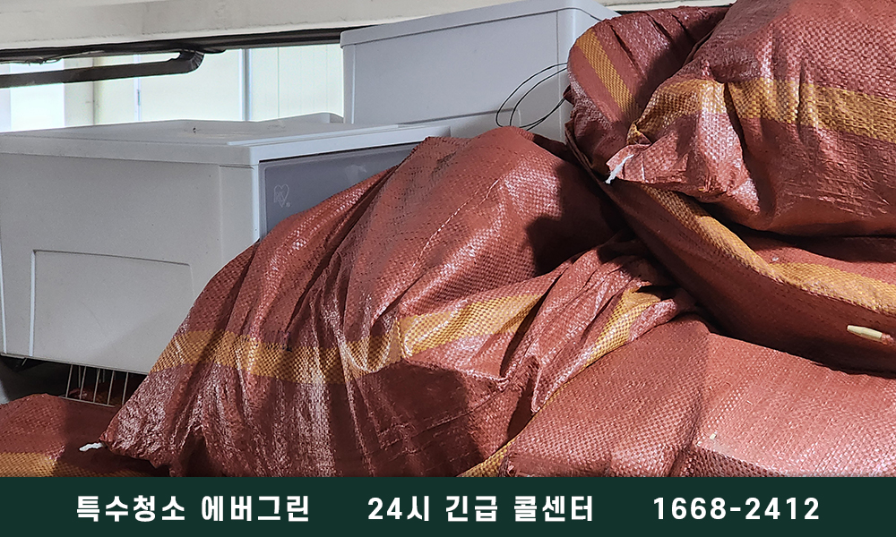 영주시 쓰레기집청소 