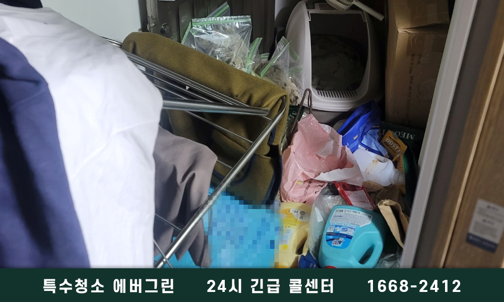 파주 쓰레기집청소