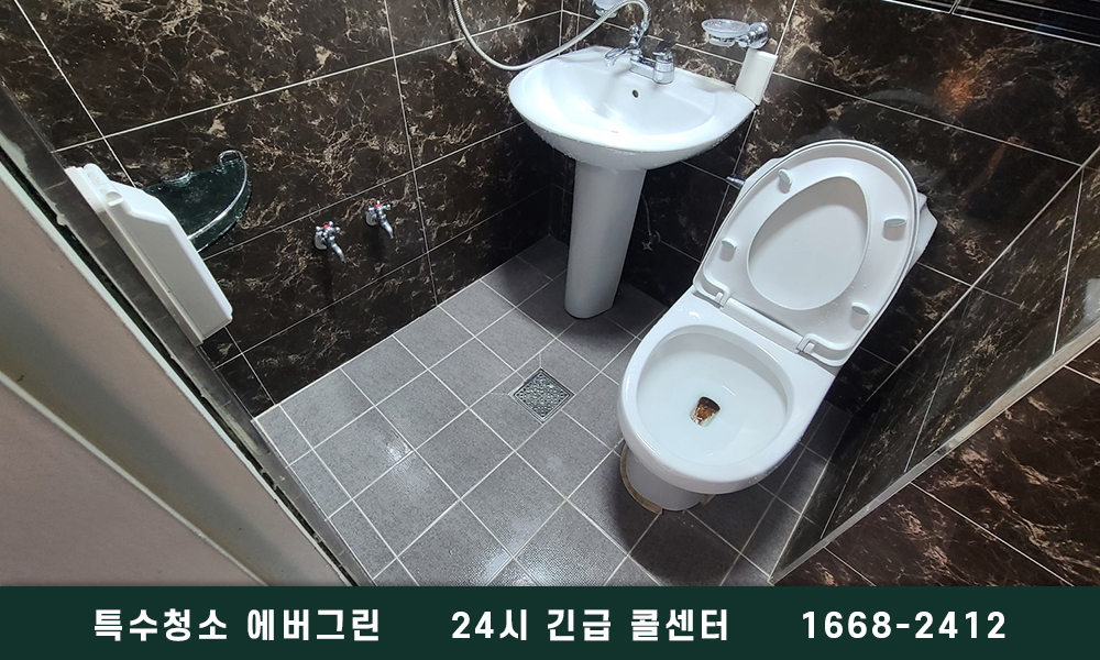 함양군 쓰레기집청소