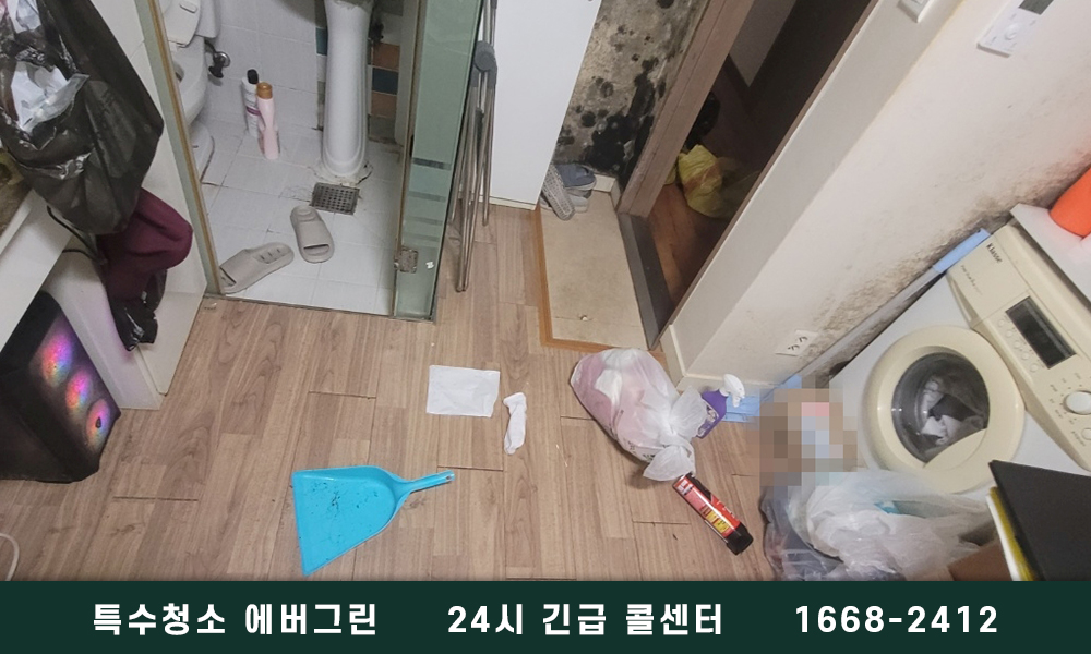 화성 동탄 쓰레기집청소