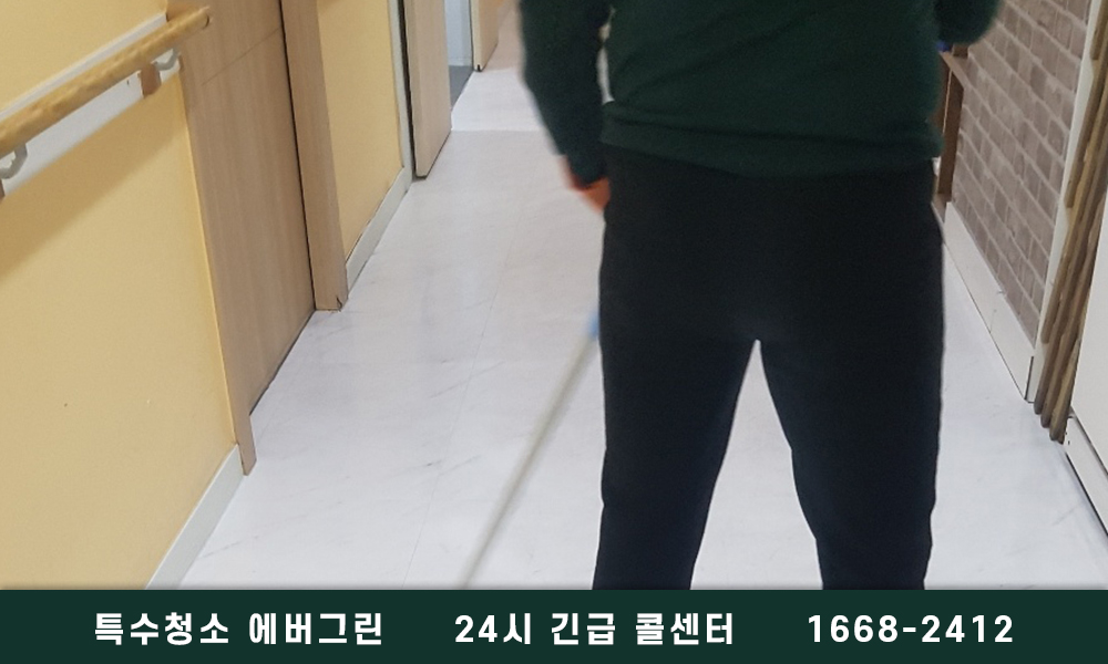 경주시 쓰레기집청소