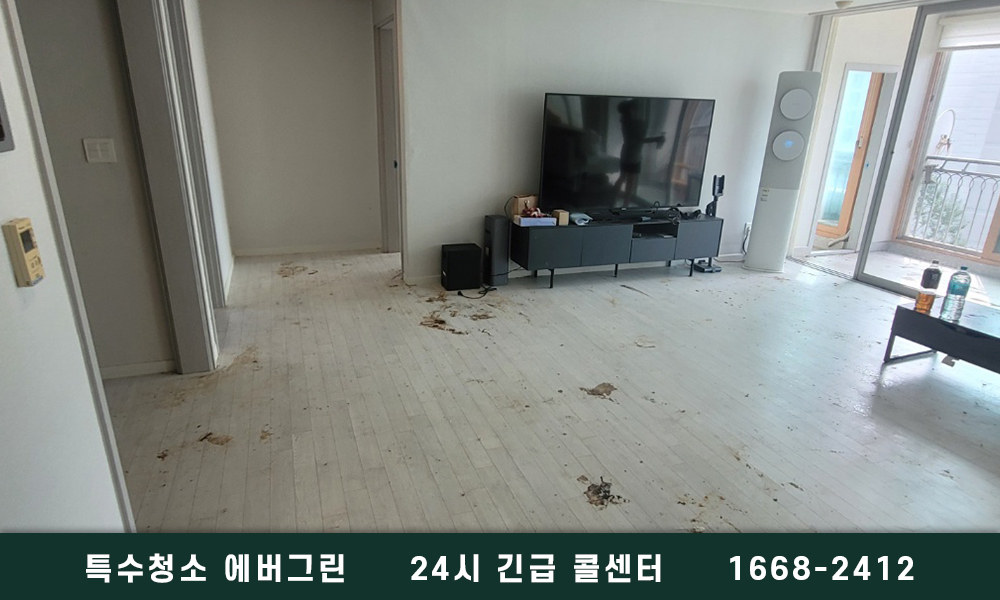 고양 일산 쓰레기집청소 