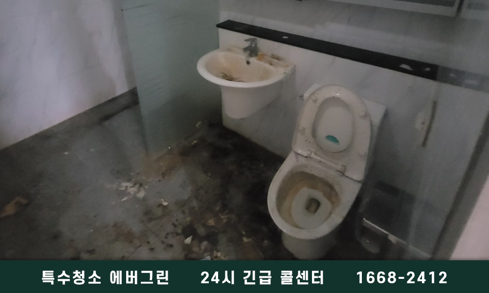 고양시 쓰레기집청소