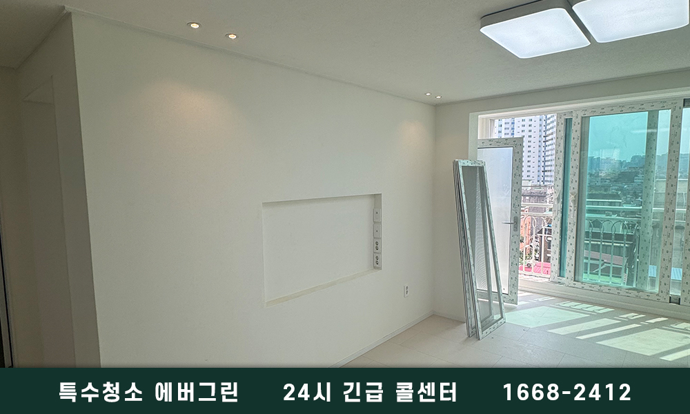 남양주 진접 쓰레기집청소