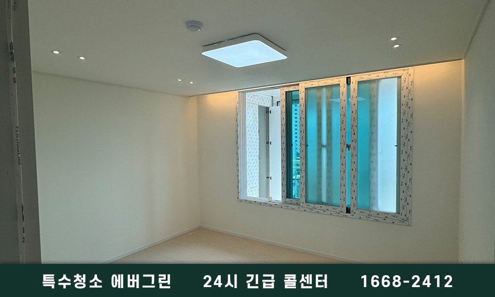 남양주 진접 쓰레기집청소