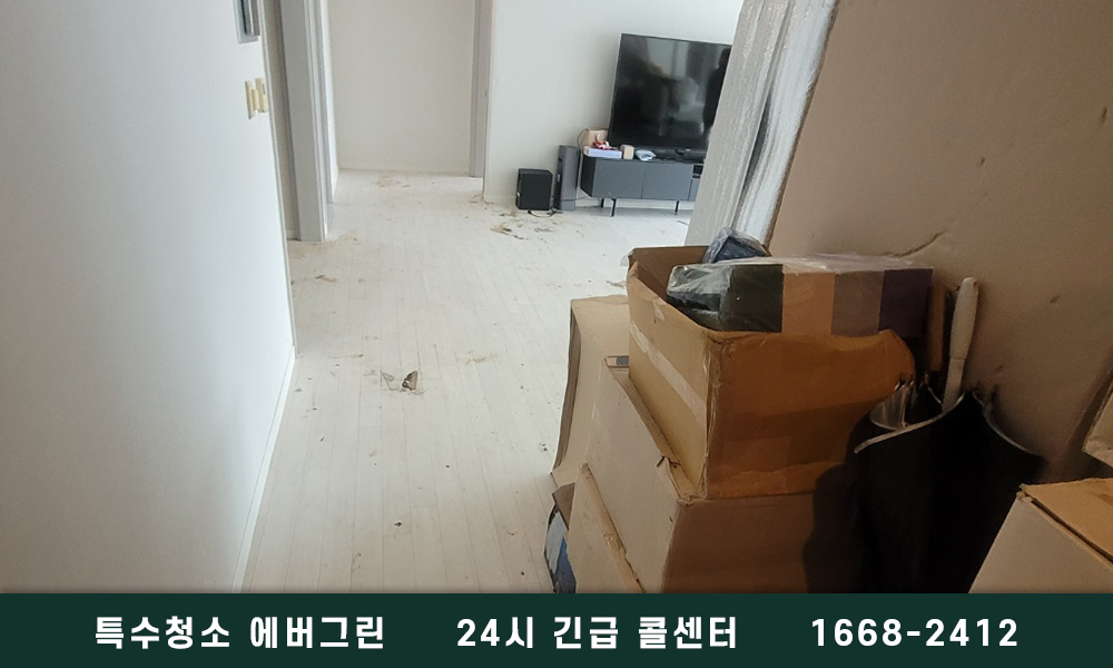 부천시 쓰레기집청소