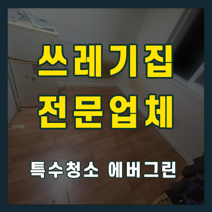 성남 분당구 쓰레기집청소