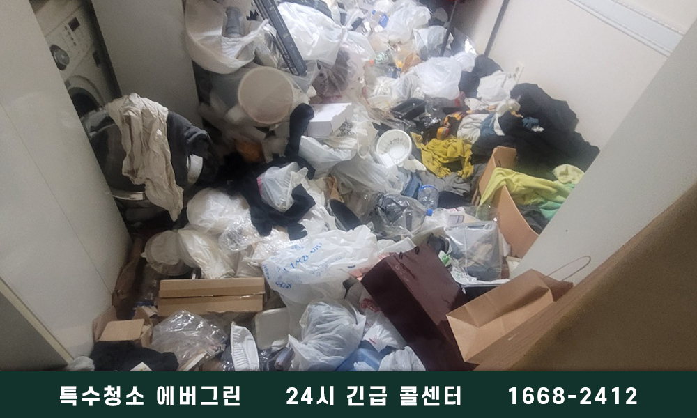 성남 분당구 쓰레기집청소