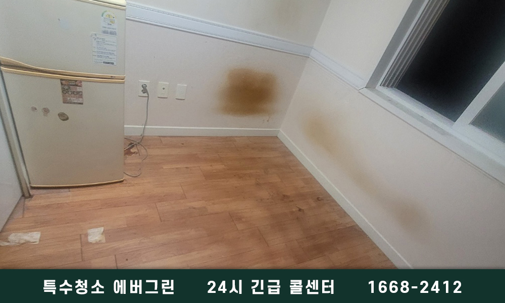 성남 분당구 쓰레기집청소