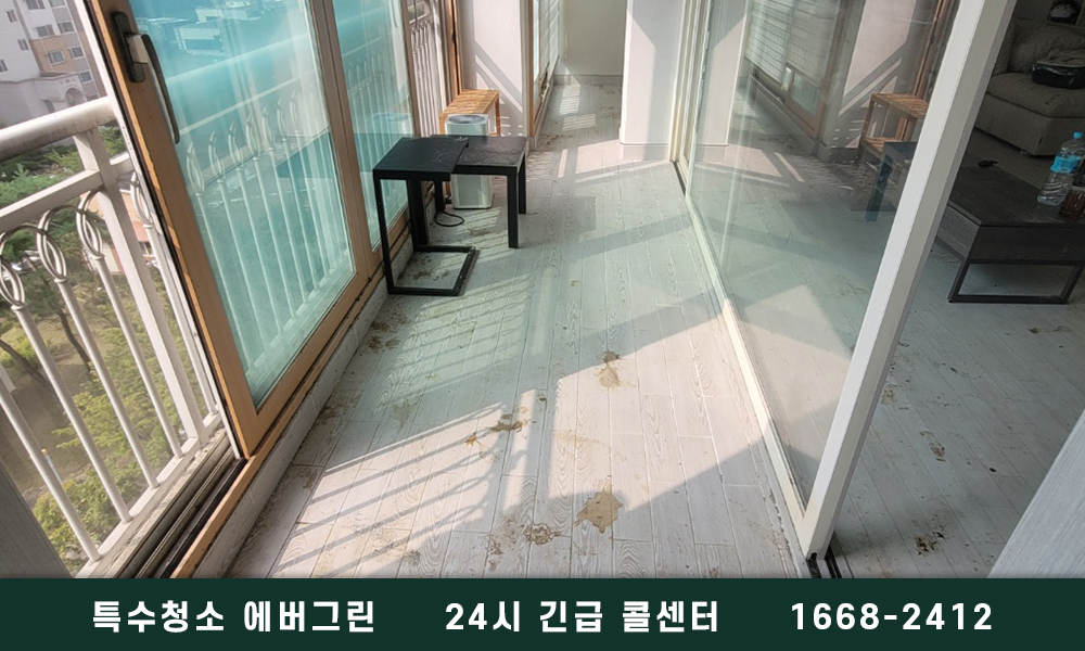 시흥시 쓰레기집청소