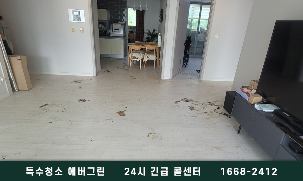 안성시 쓰레기집청소