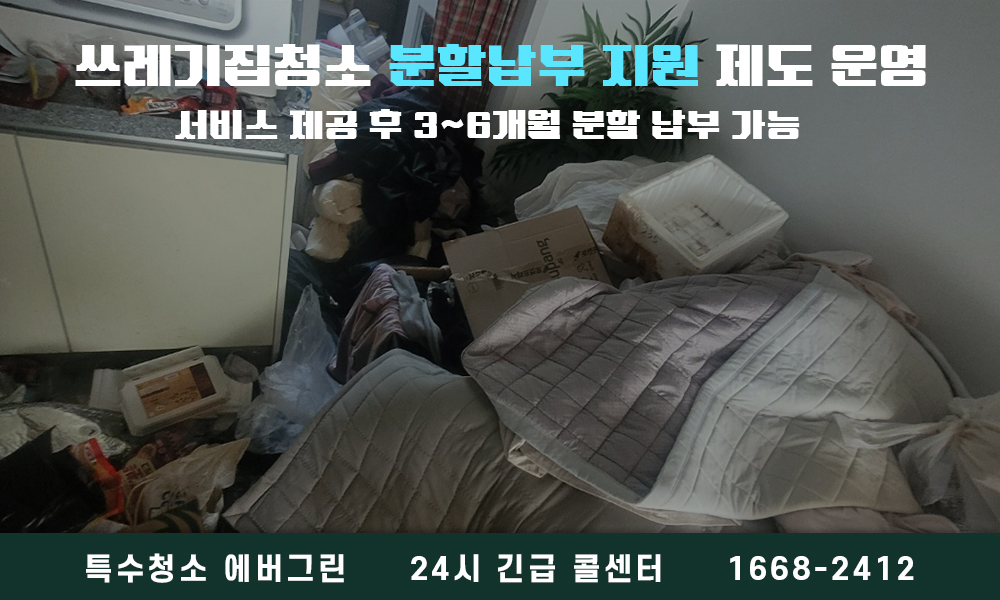 안성시 쓰레기집청소