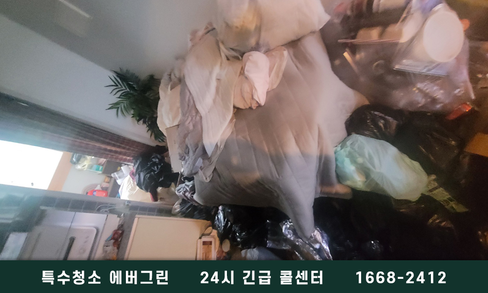 안양시 쓰레기집청소