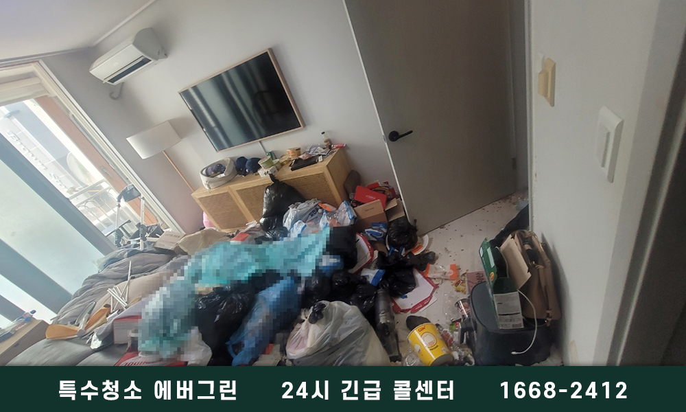 안양시 쓰레기집청소