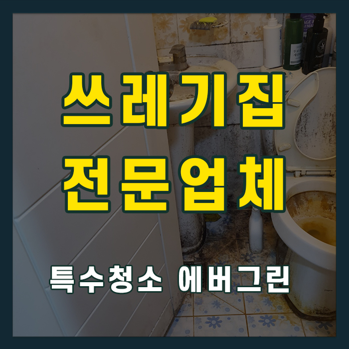 영덕군 쓰레기집청소