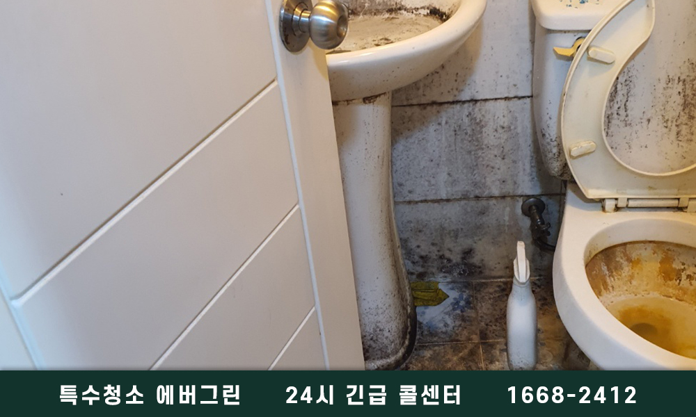 영덕군 쓰레기집청소