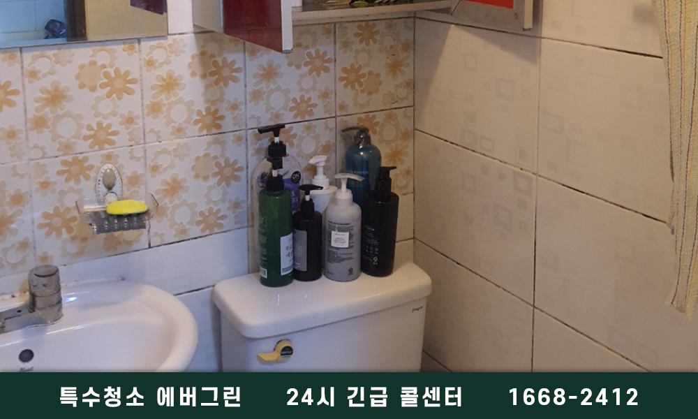 영덕군 쓰레기집청소