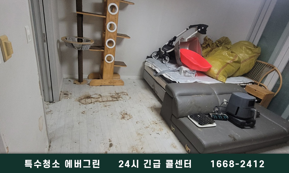 영양군 쓰레기집청소