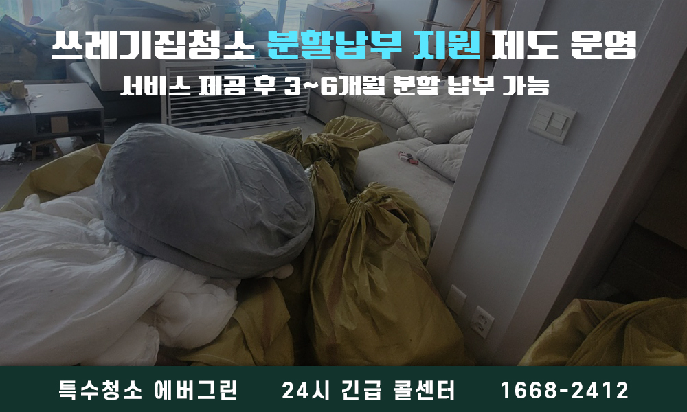 영양군 쓰레기집청소