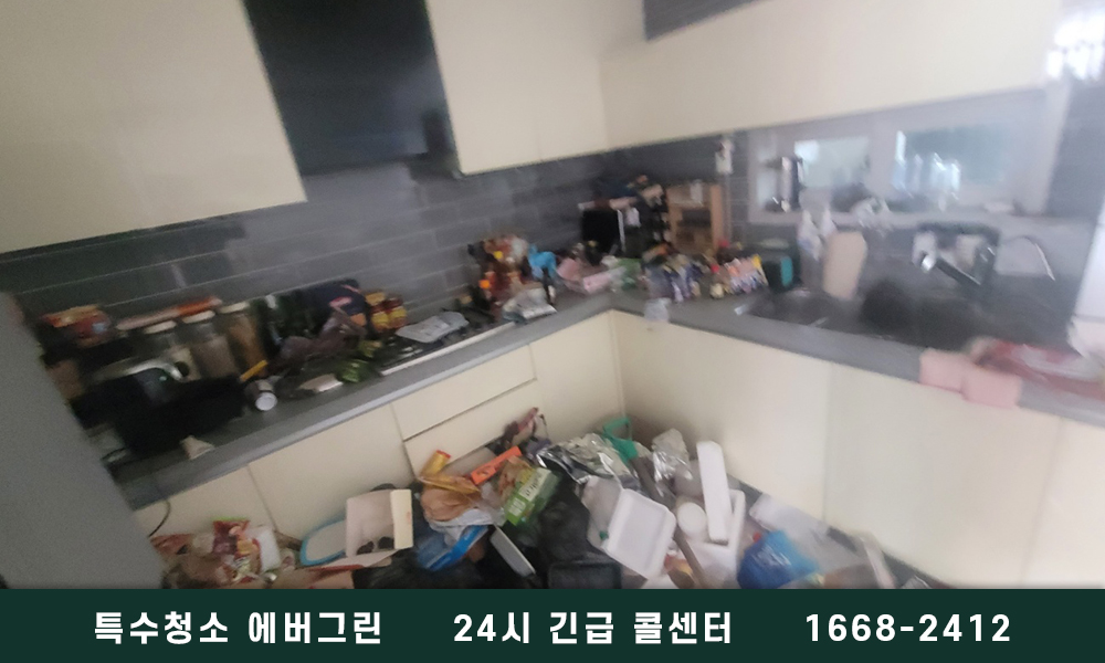 영양군 쓰레기집청소