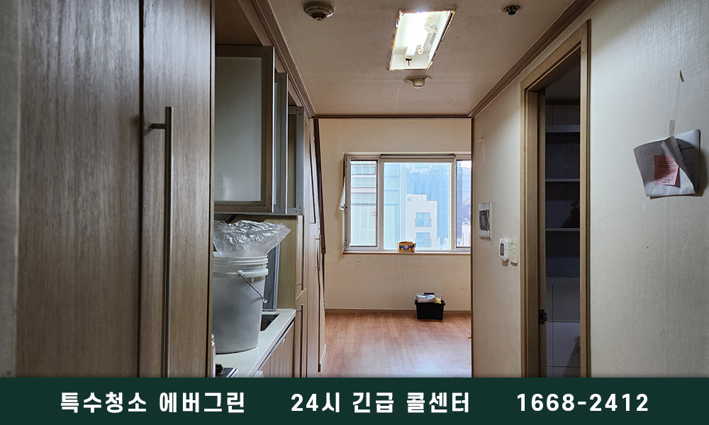 포항 남구 쓰레기집청소