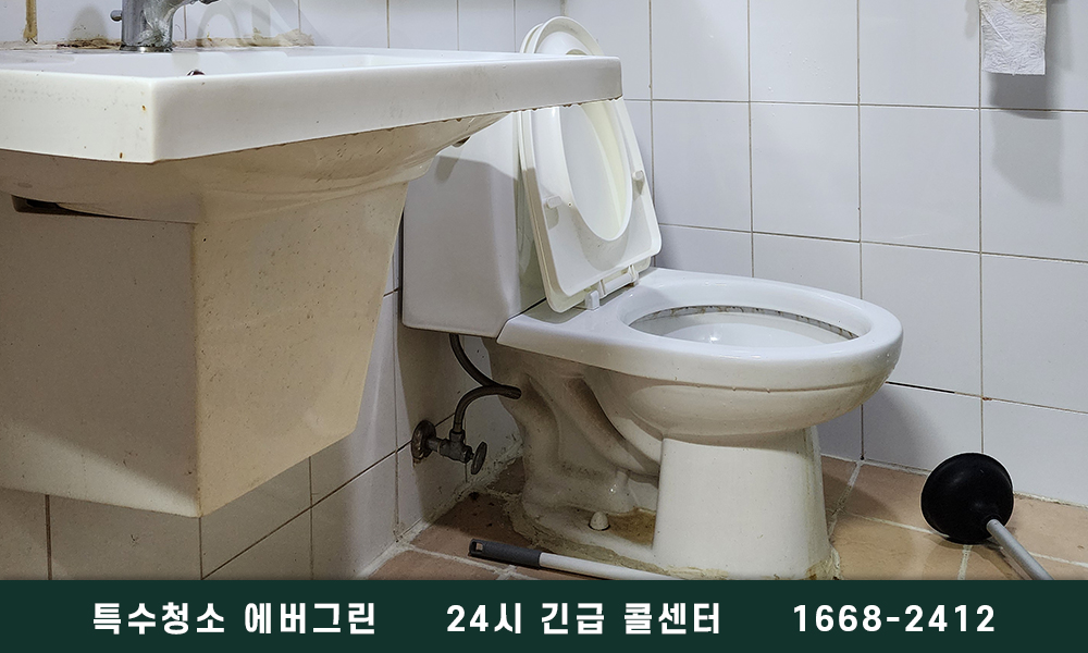 포항시 쓰레기집청소